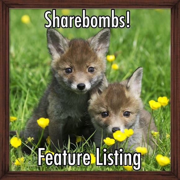 New Posher Closet Feature and Follow Game - Picture 4 of 4